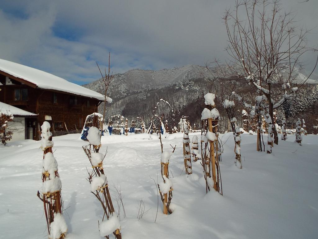 Pension Apple Kaminoyama Exterior foto
