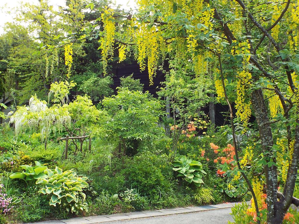 Pension Apple Kaminoyama Exterior foto