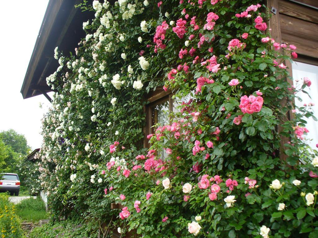 Pension Apple Kaminoyama Exterior foto
